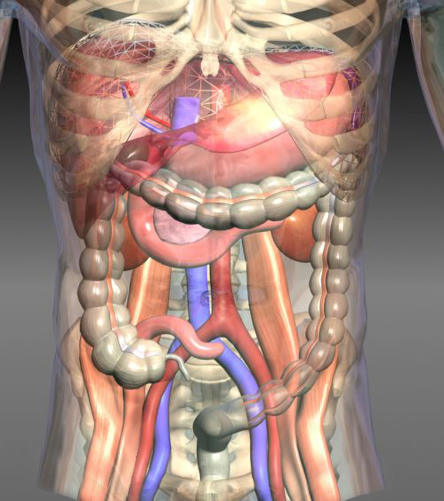Medical 3D Imagery